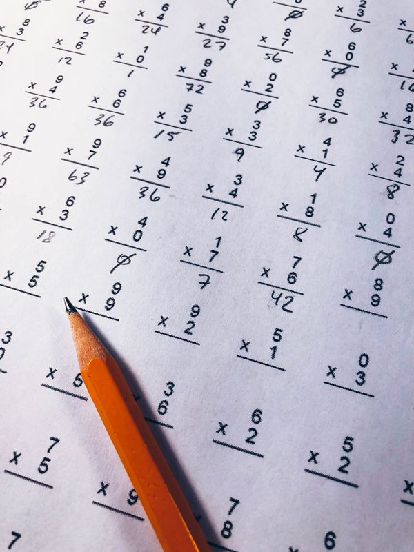 A pure and an applied mathematician